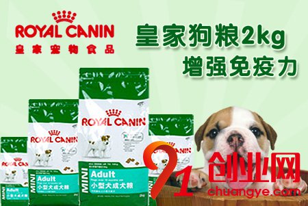 如何挑選狗糧?五大品牌狗糧盤點
