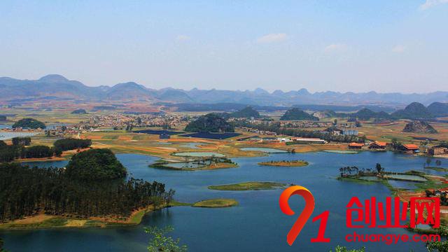 農(nóng)村創(chuàng)業(yè)養(yǎng)殖什么比較賺錢
