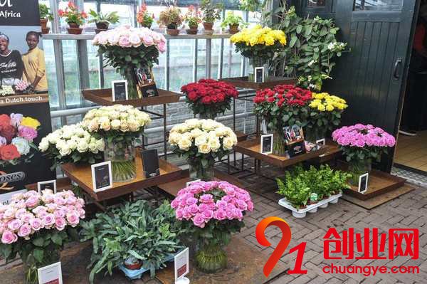 女性創業做什么可以賺錢？