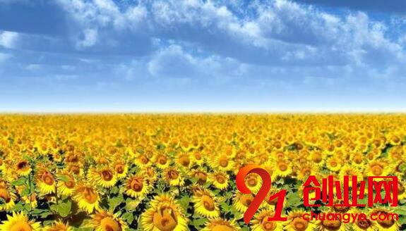 揭秘雅詩(shī)蘭黛的創(chuàng)業(yè)秘密