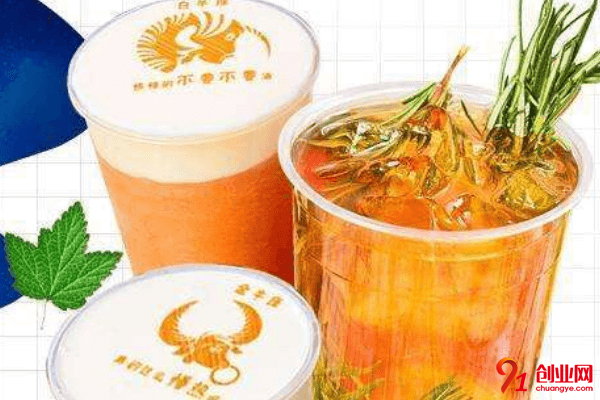 逅座十二茶加盟要求有哪些？加盟要求多嗎