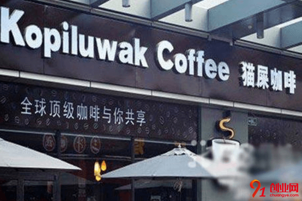 貓屎咖啡加盟利潤大嗎？投資回報期多久？