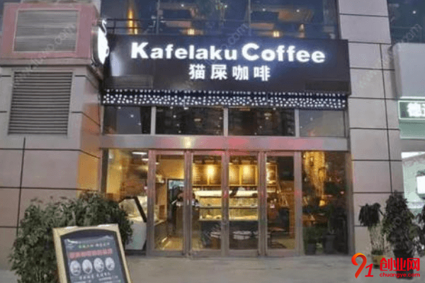 貓屎咖啡加盟利潤大嗎？投資回報期多久？