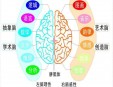 良塾全腦速讀速記