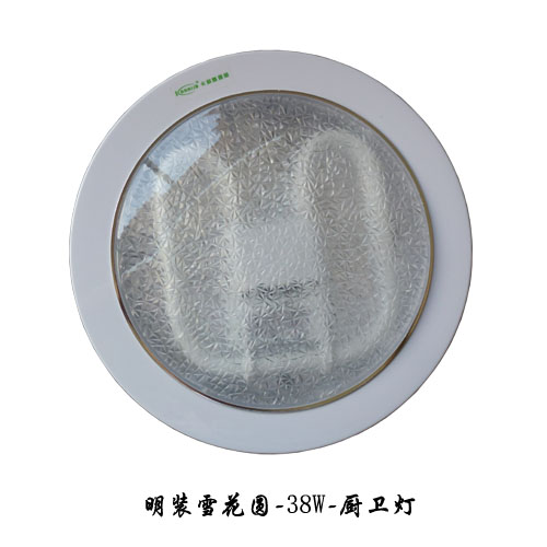  卡耐基照明
