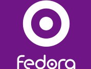 Fedora飛多兒童車