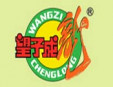 望子成龍童裝