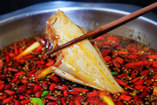 金椒魚火鍋