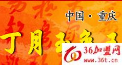 丁月玉兔王