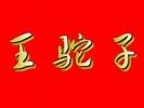 王駝子臭豆腐