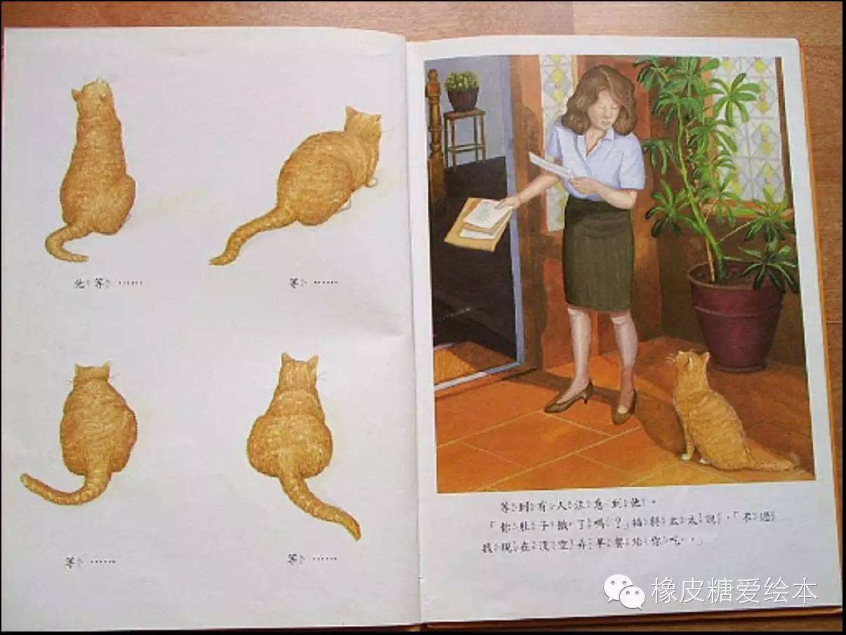 天才貓