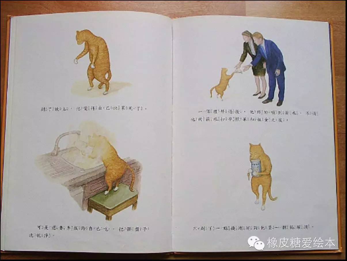天才貓