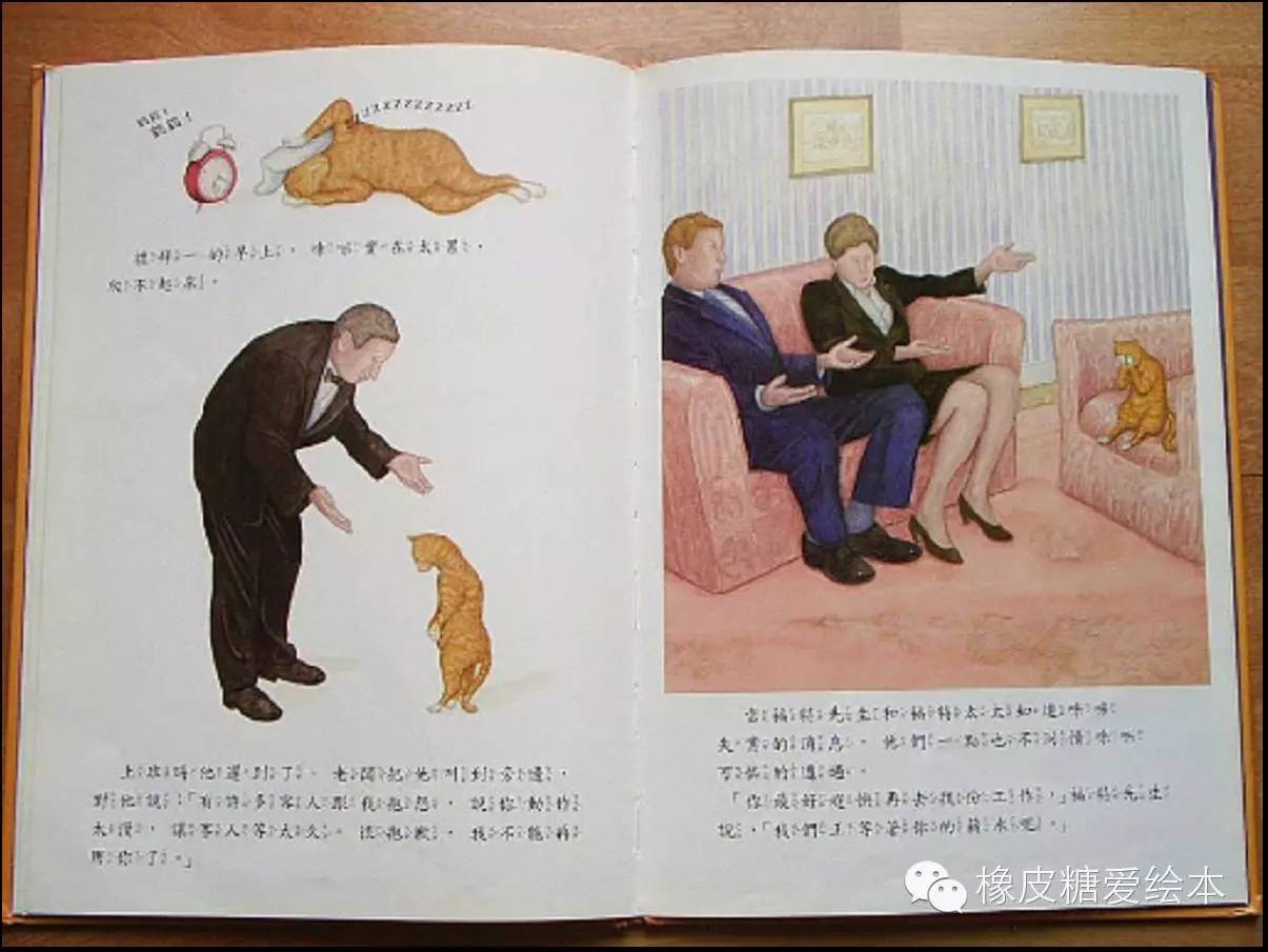 天才貓