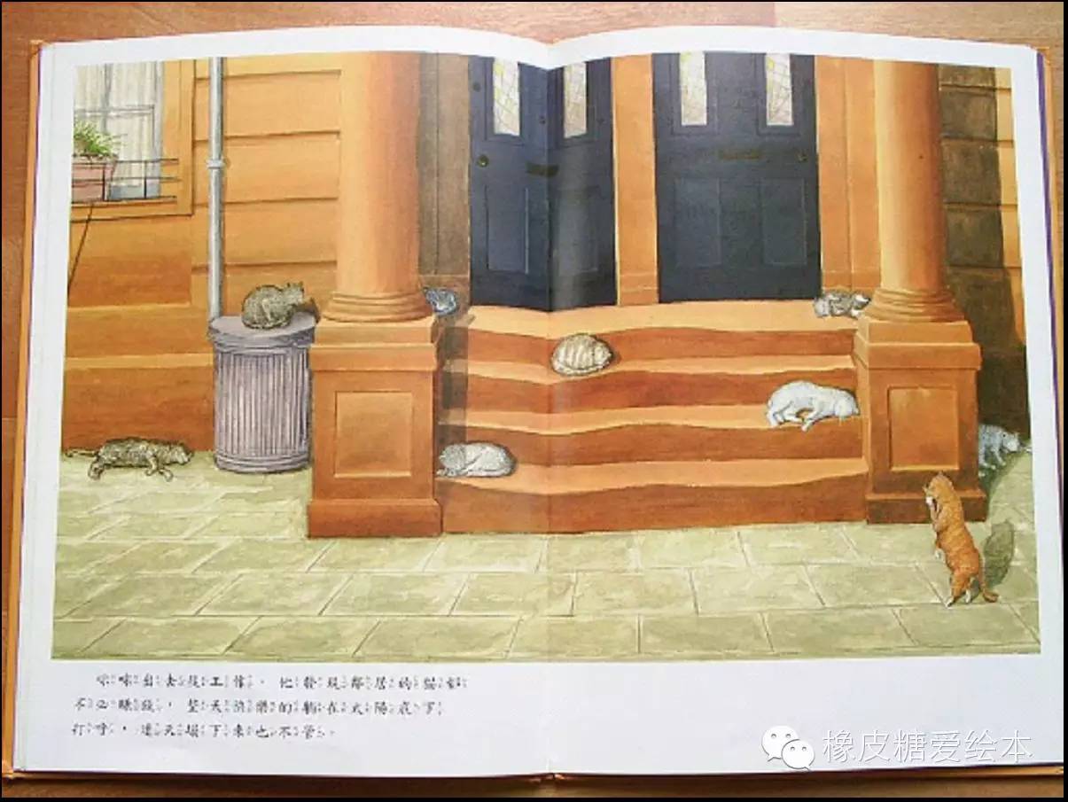天才貓