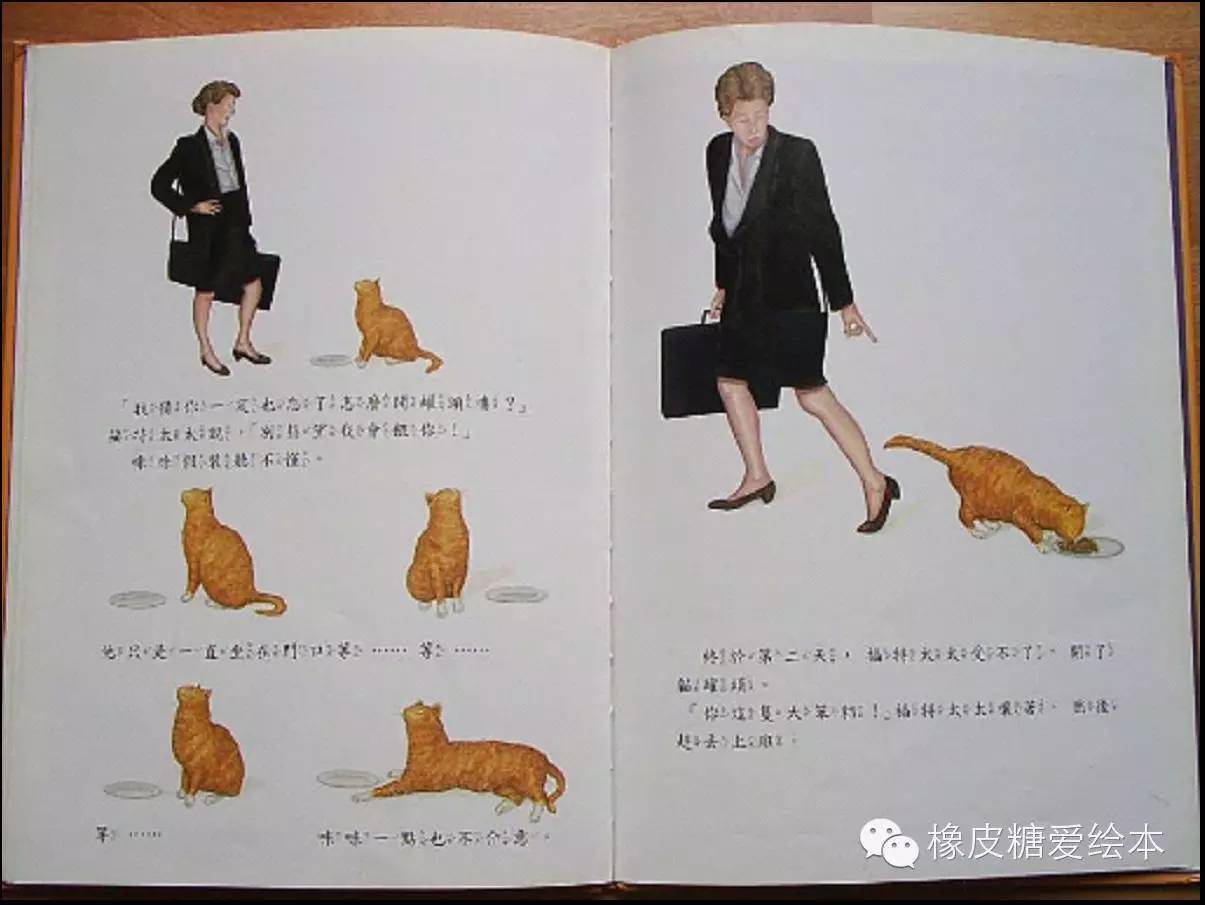 天才貓