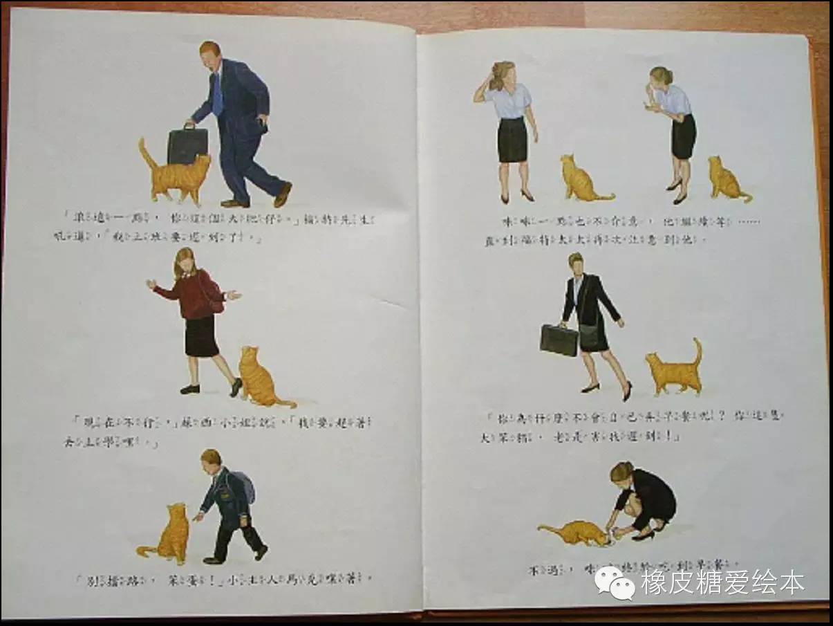 天才貓