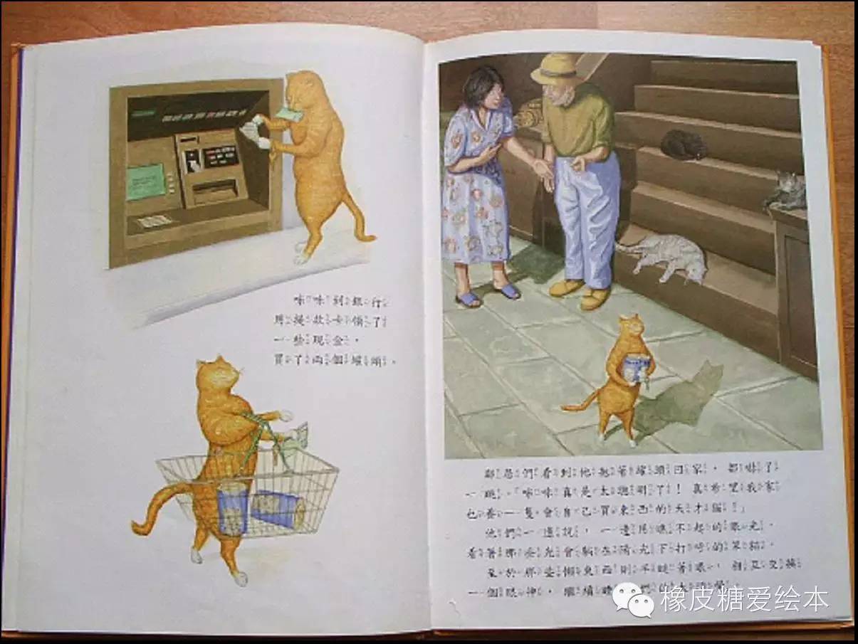 天才貓