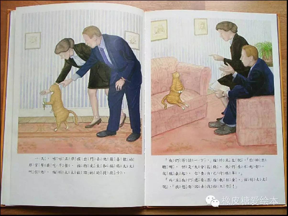 天才貓
