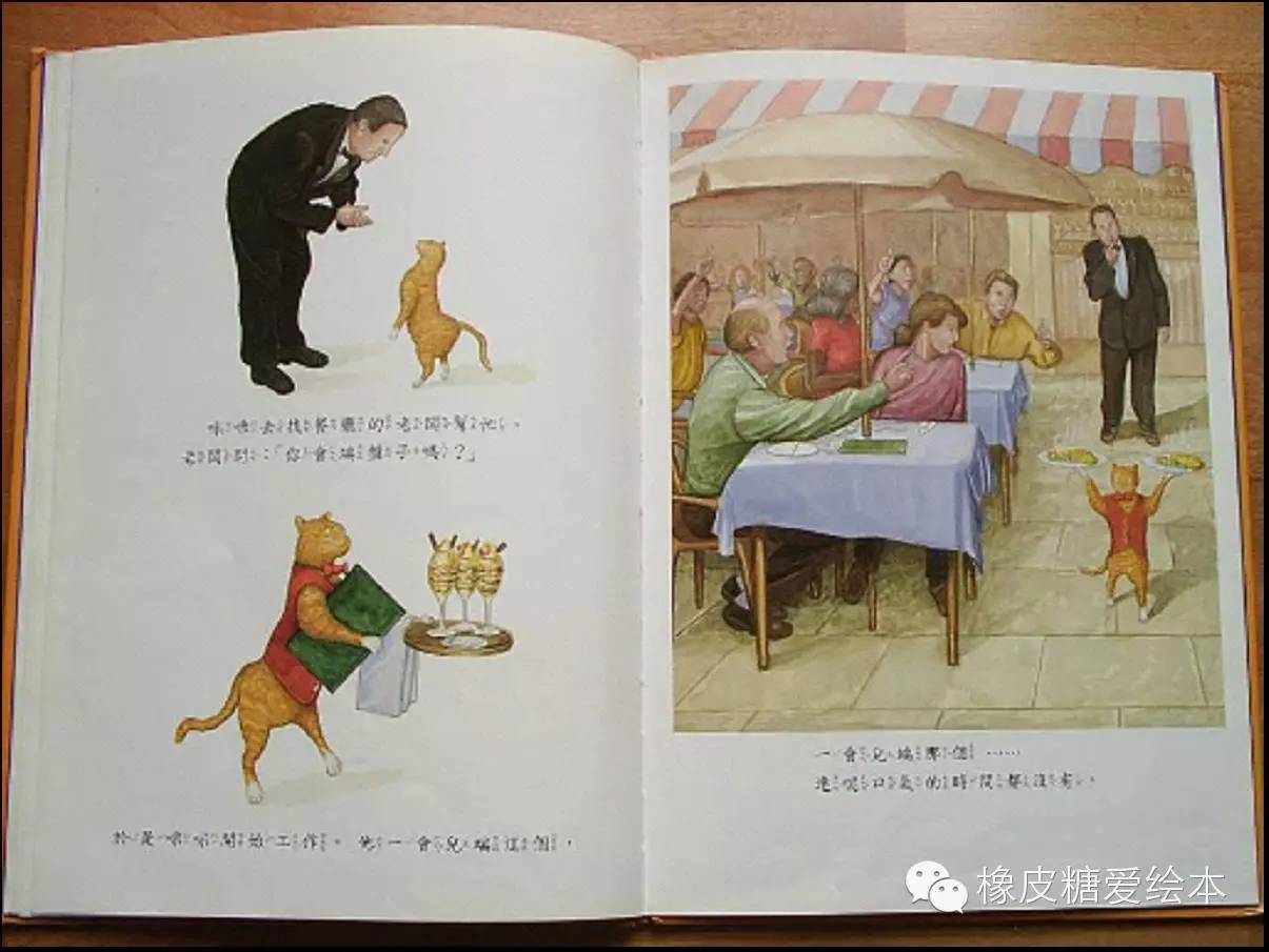 天才貓