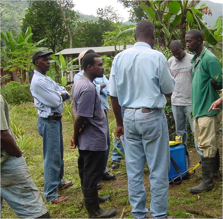 藍(lán)山咖啡館