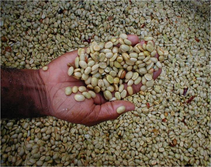 藍(lán)山咖啡館