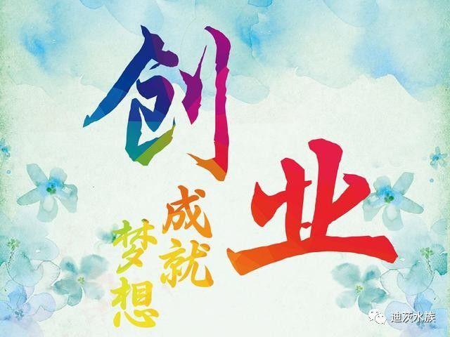 迪茨水族館加盟