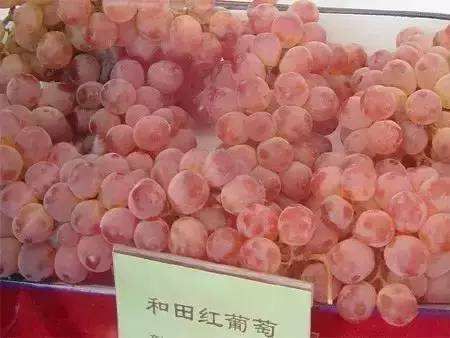 穆塞萊斯