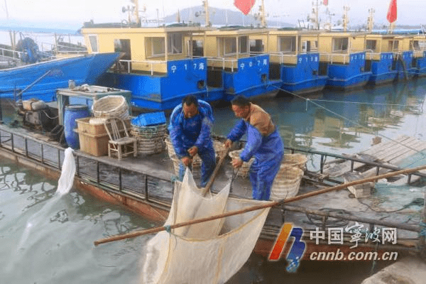 蝦忙