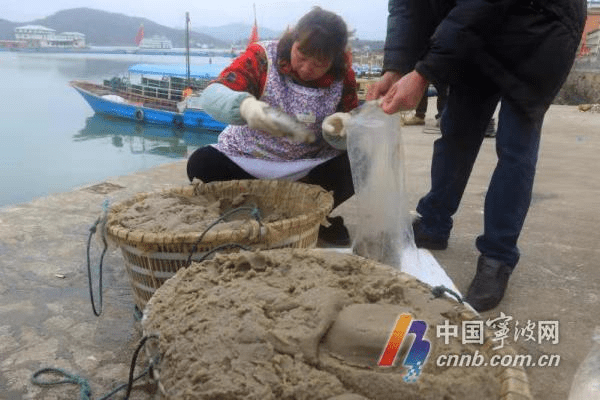 蝦忙