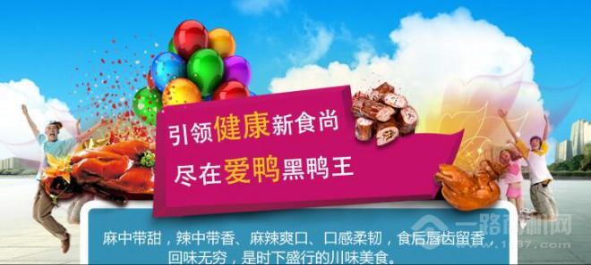 愛鴨黑鴨王