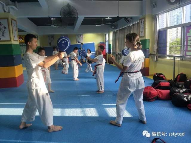 陳中跆拳道