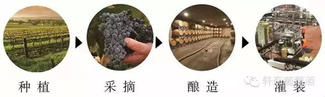香奈葡萄酒加盟