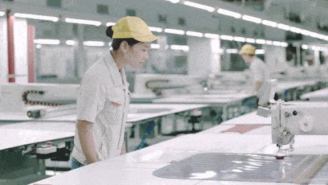 優衣庫圖片