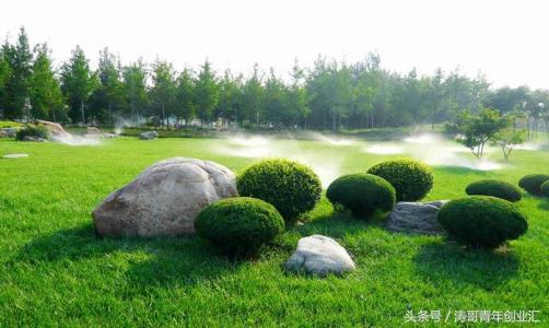 環(huán)保項目有哪些