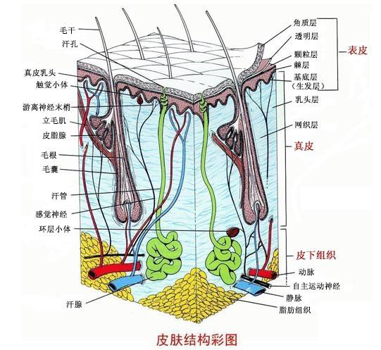 膜法世家面膜