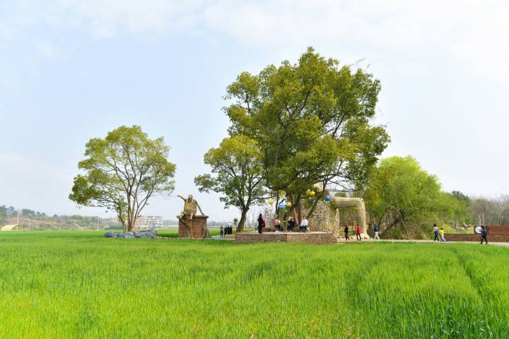 美麗田園