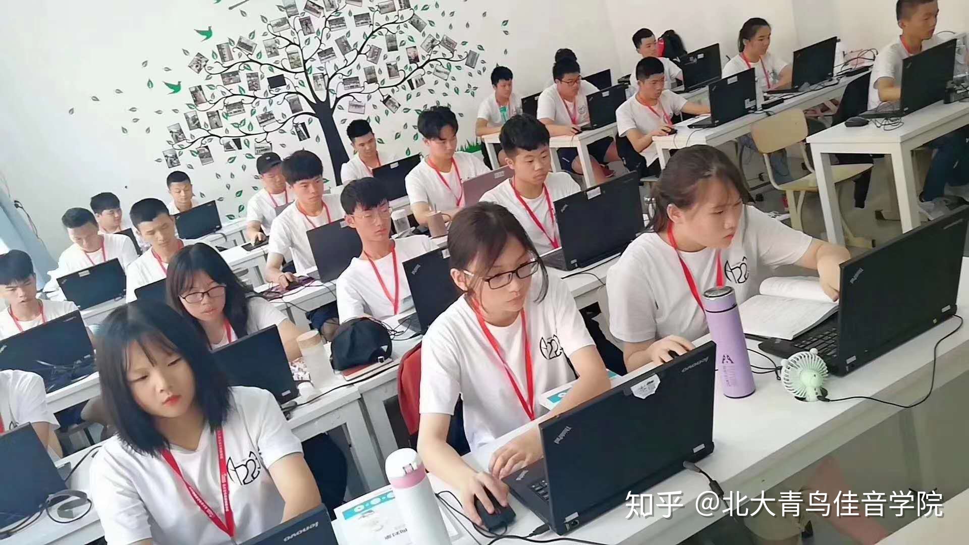北大青鳥學(xué)校可靠嗎