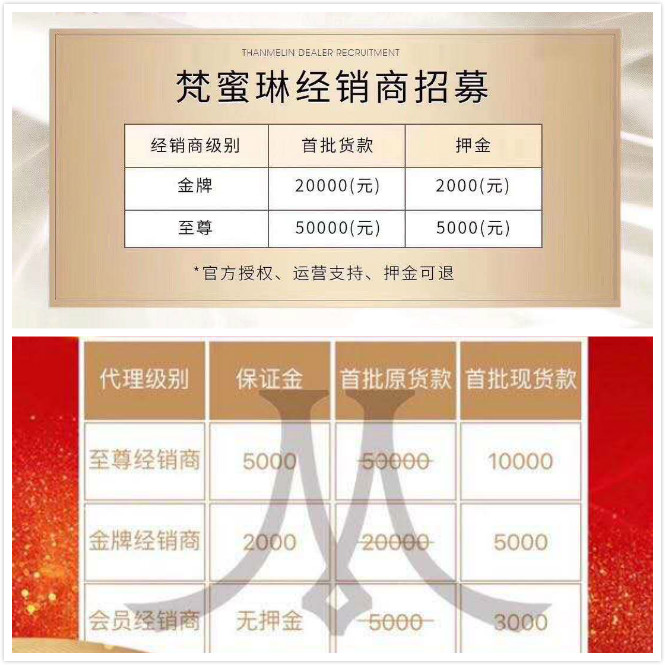 梵蜜琳經銷商發來的經銷商級別分類。