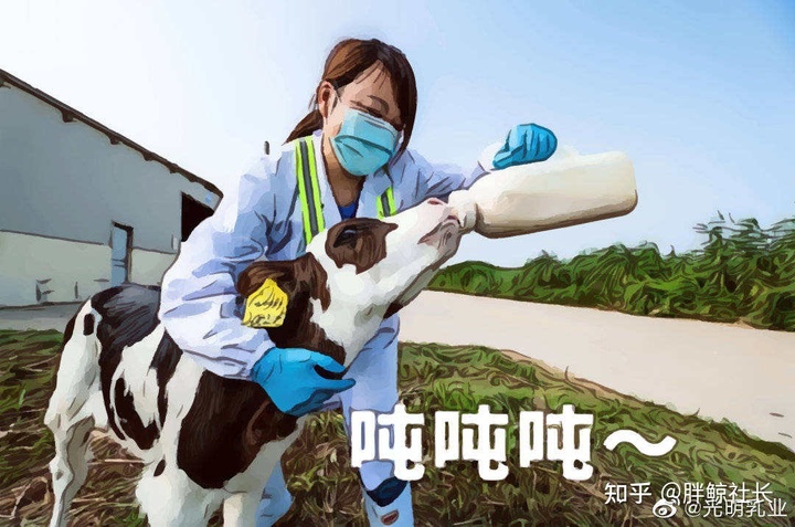 光明乳業官網