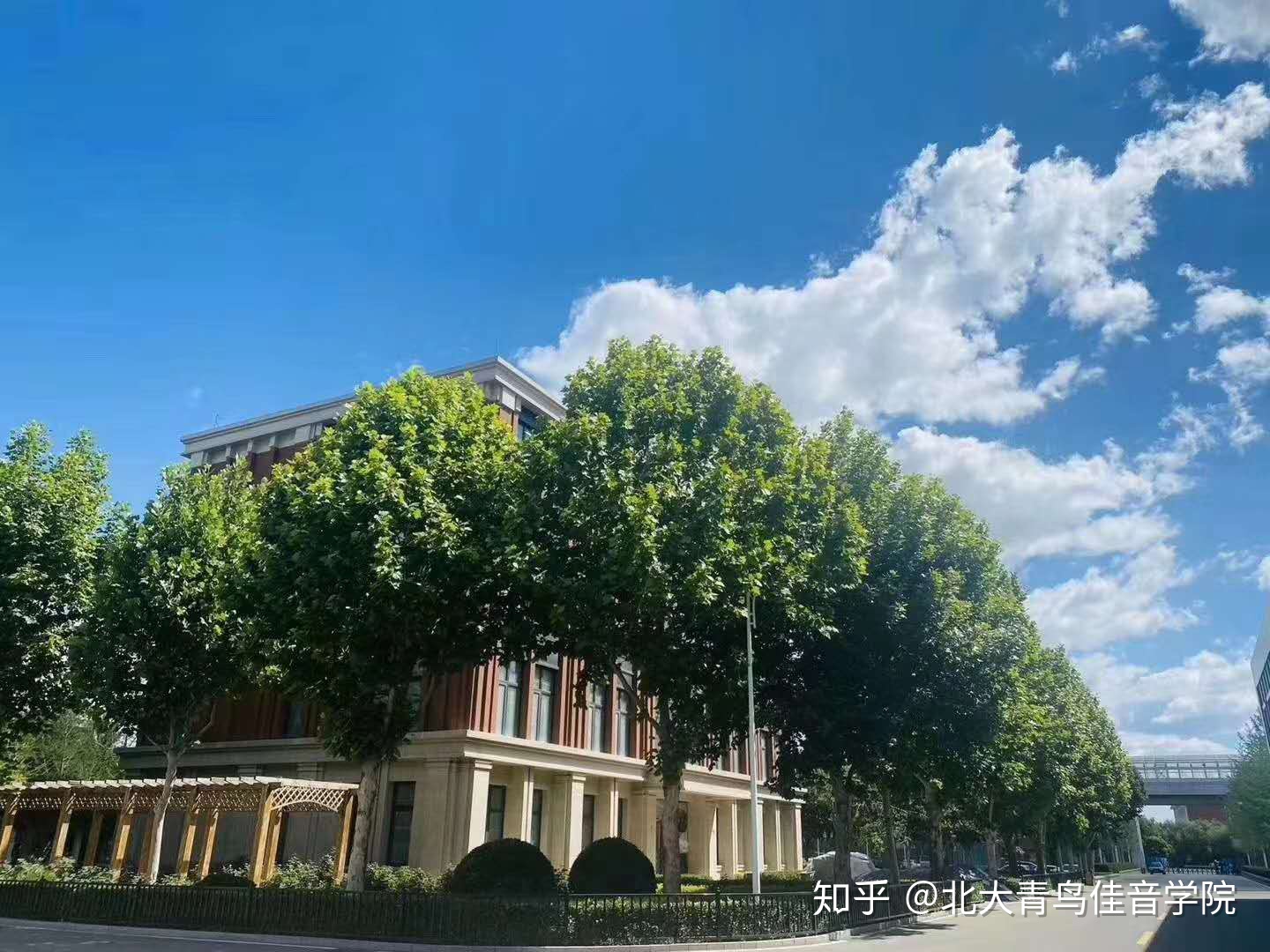 北大青鳥學(xué)校可靠嗎