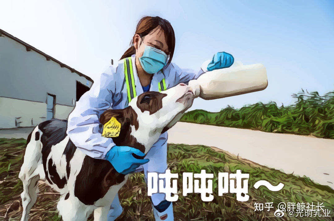 光明乳業官網