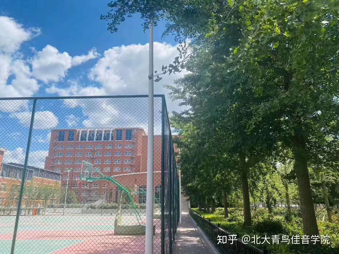 北大青鳥學(xué)校可靠嗎